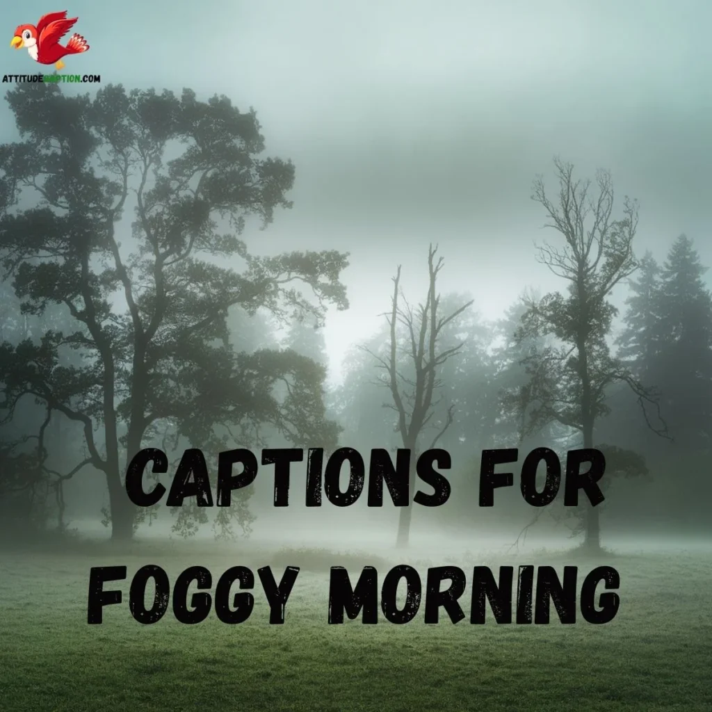  Captions for Foggy Morning