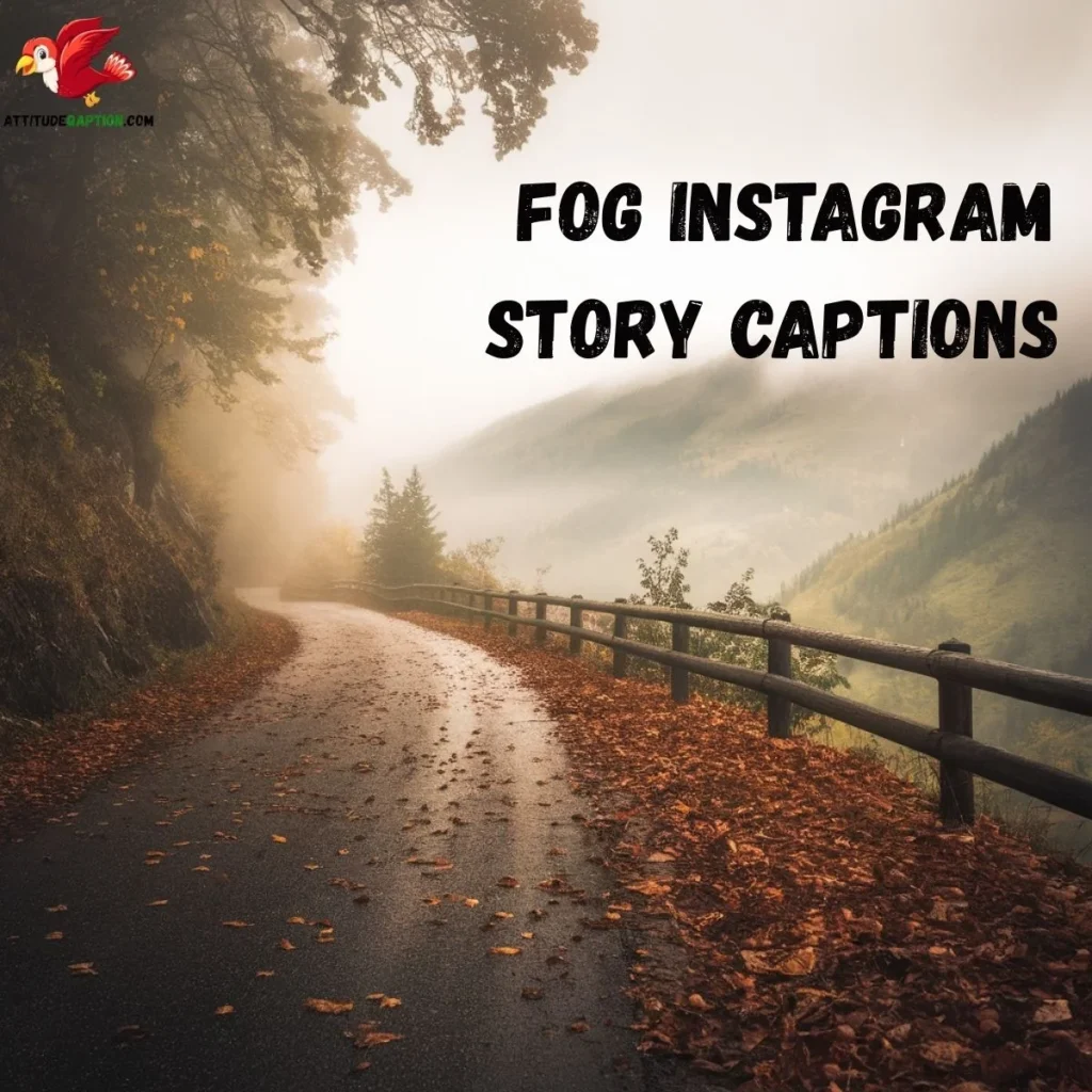  Fog Instagram Story Captions