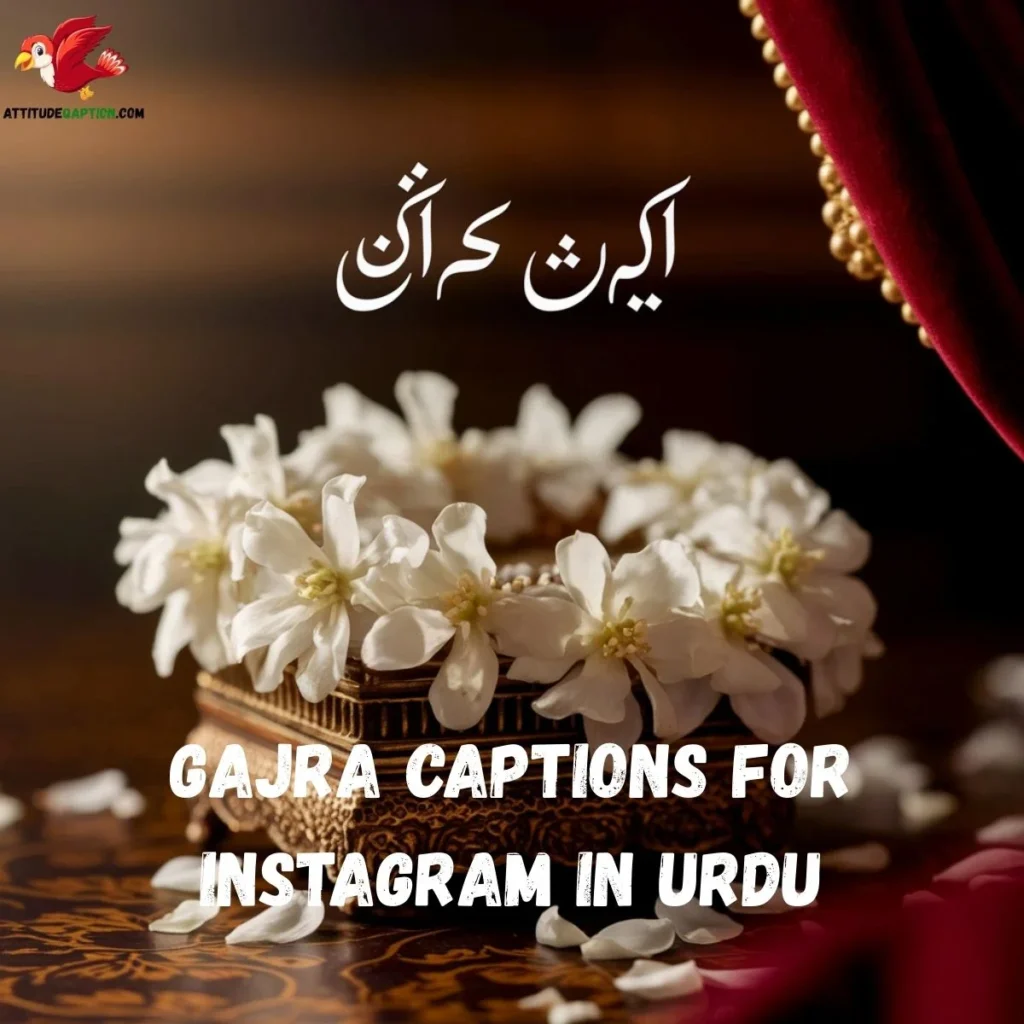 Gajra Captions for Instagram in Urdu