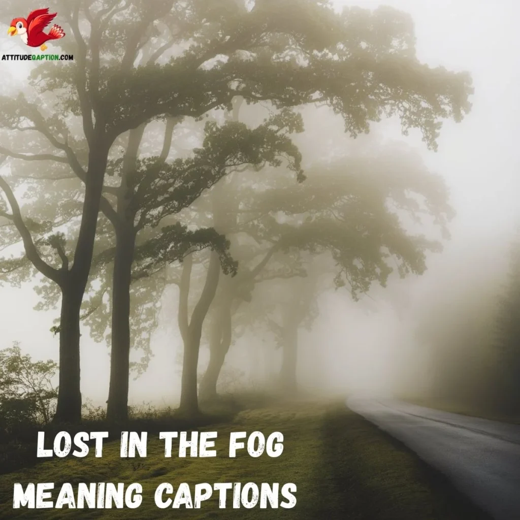  Lost in the Fog Meaning Captions