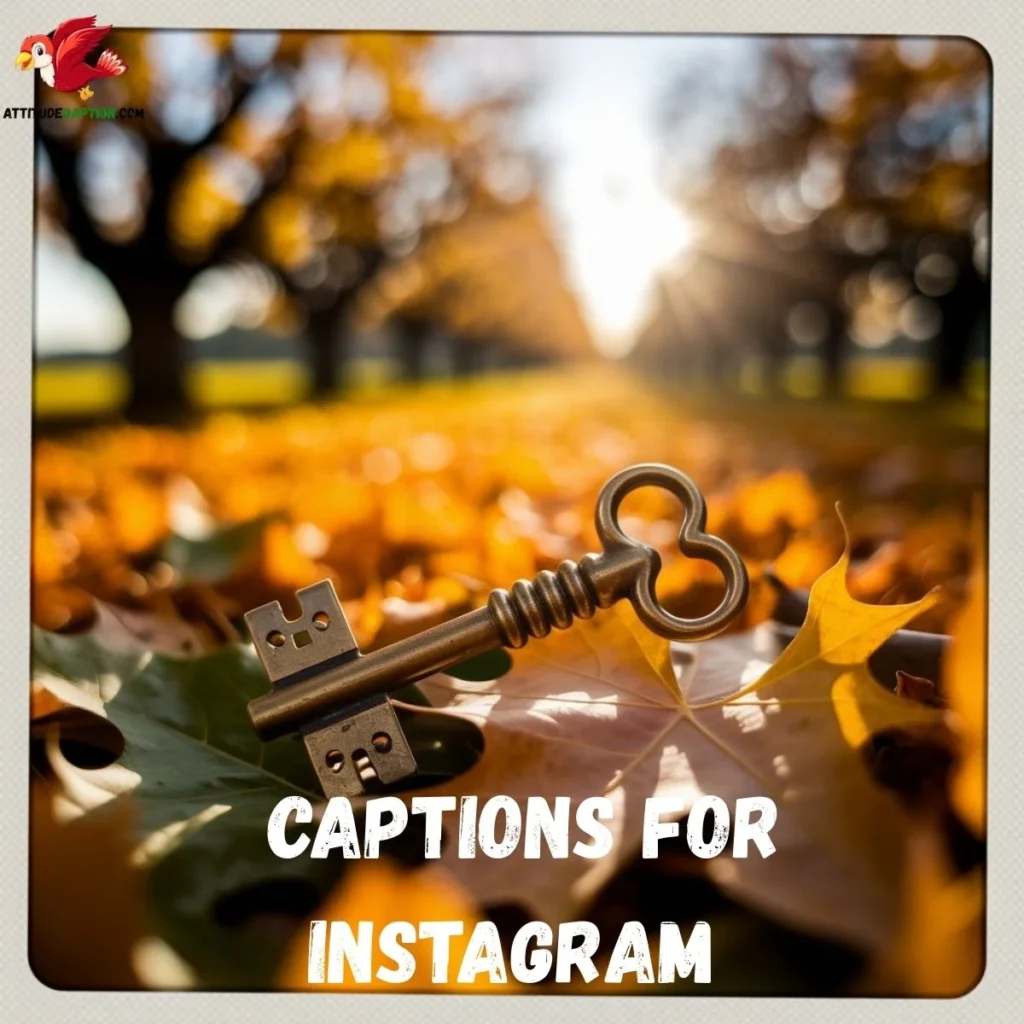  Captions For Instagram