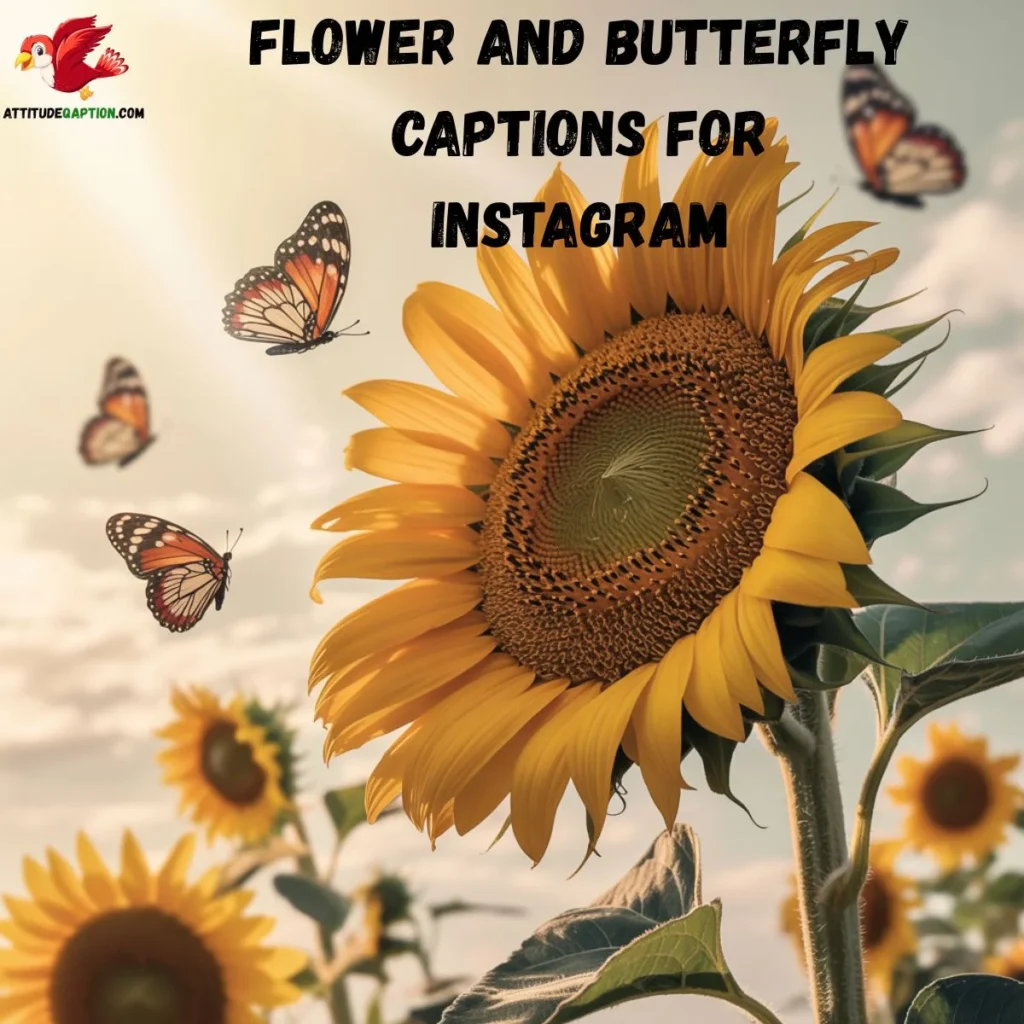 Flower and Butterfly Captions for Instagram