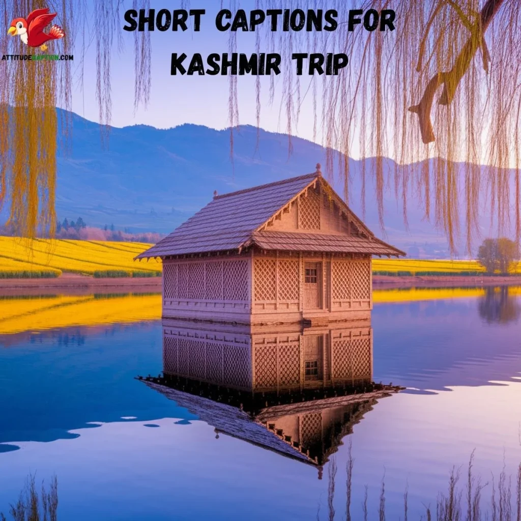 Short Captions for Kashmir Trip