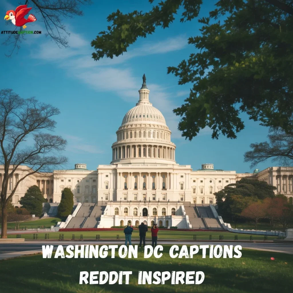 Washington DC Captions Reddit Inspired 