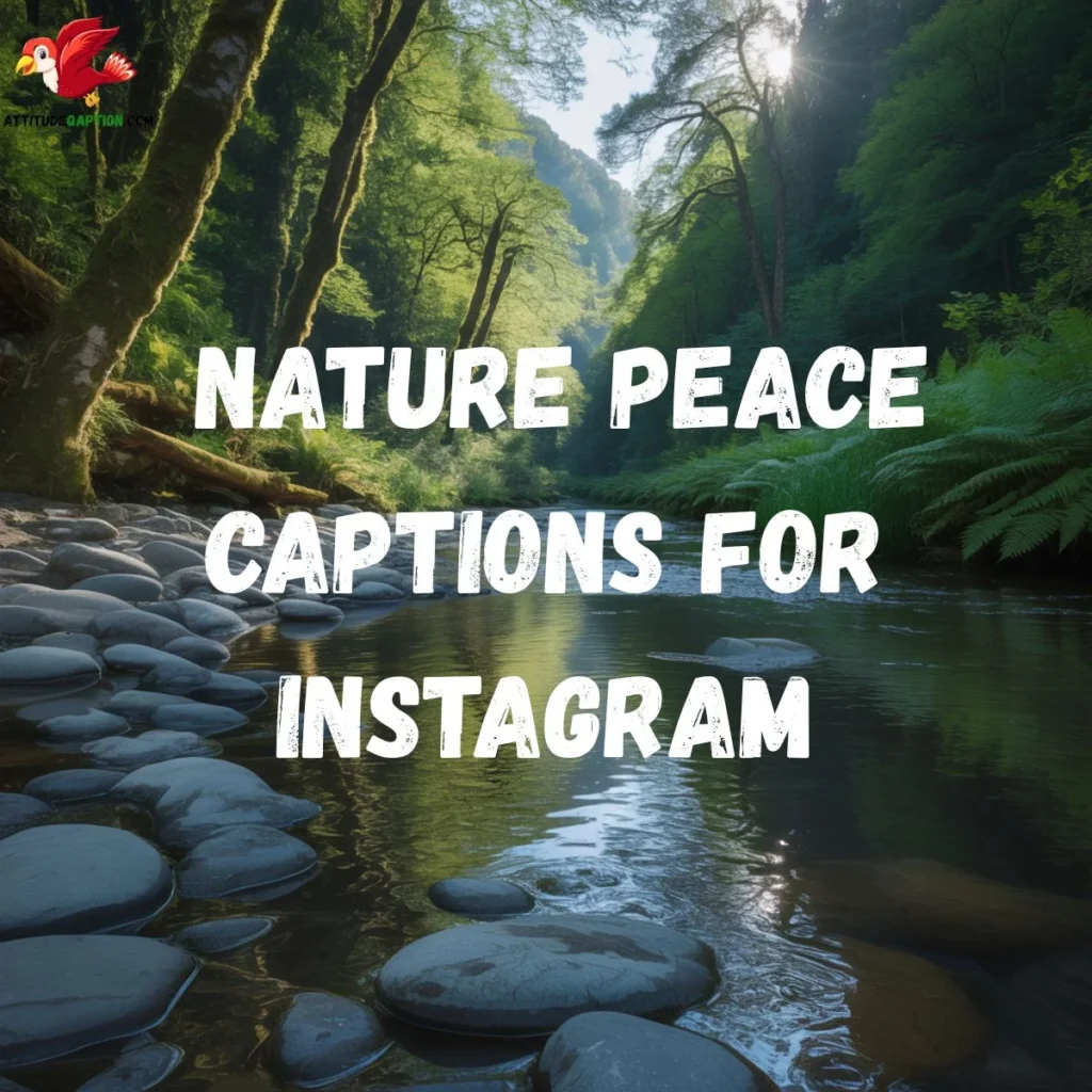 Nature Peace Captions for Instagram