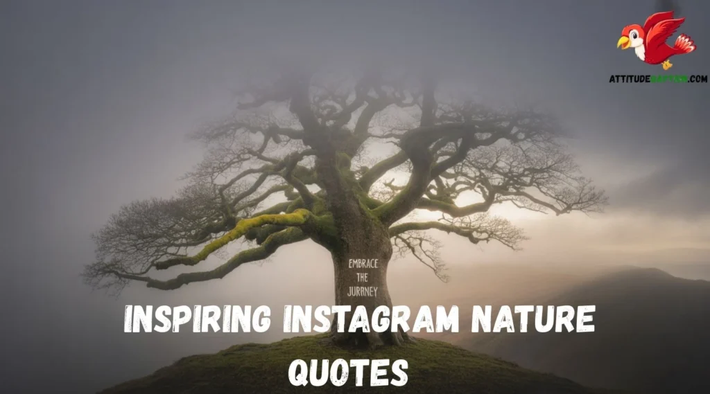 Inspiring Instagram Nature Quotes