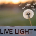 Light Quotes for Instagram