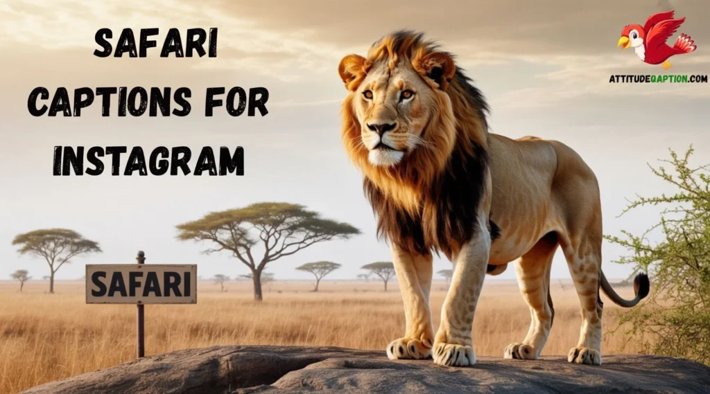 Safari Captions for Instagram