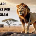 Safari Captions for Instagram