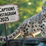 Zoo Captions for Instagram